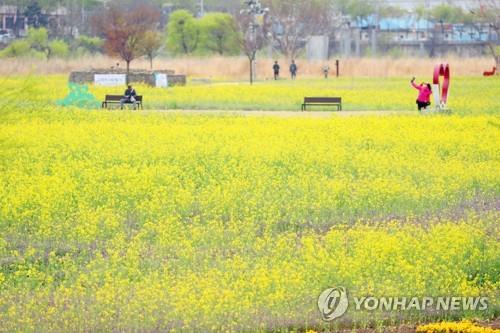 금호강 '하중도' 새이름 지어주세요…시민 선호도 조사