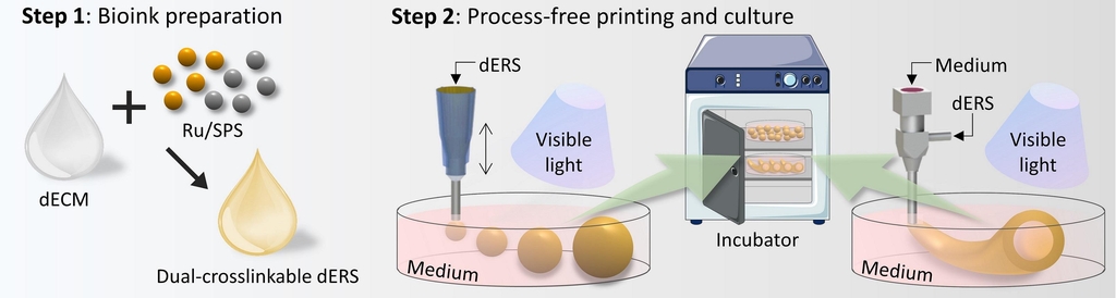 인체 미세조직 대량생산 3D 바이오프린팅 기술 개발