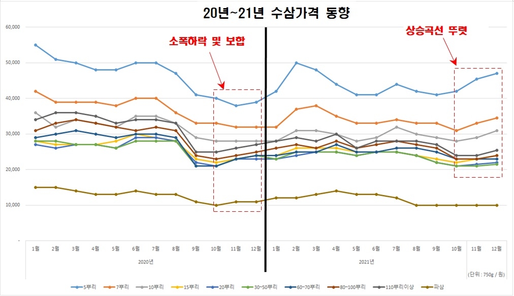 지난해 4분기 금산인삼 가격 10%가량 상승…"소비촉진 효과"