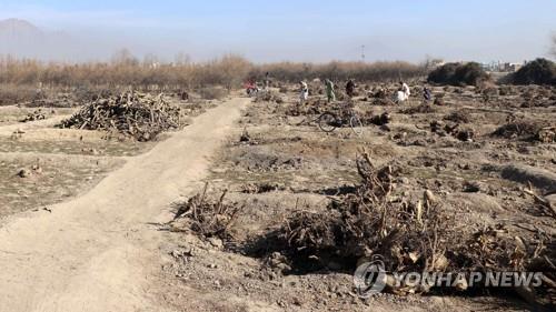 [월드&포토] 경제난에 혹독한 겨울까지 덮친 아프간…곳곳 참상