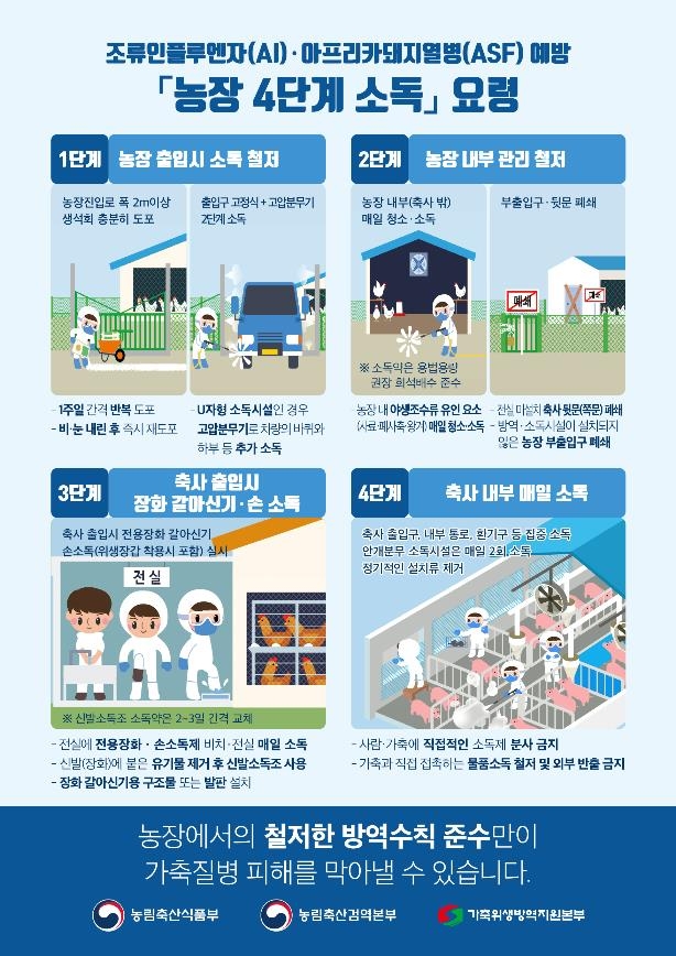 전남 영암 육용오리 농장서 고병원성 AI 의심사례 발생