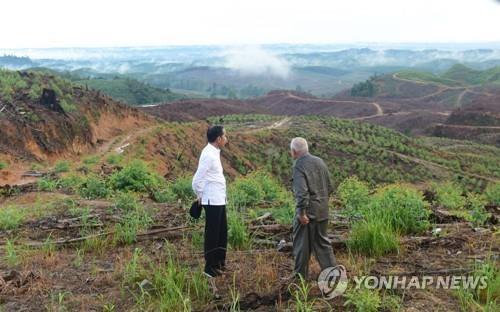 인도네시아 새 수도 명칭은 '누산타라'…건설사업 본격 추진