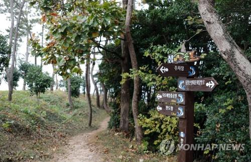 "등산 줄고, 트레킹 늘어"…야외활동 유형 바뀐다