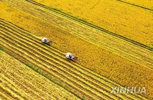 광화학 스모그 오존 오염물로 한중일 연간 작황 76조원 손실