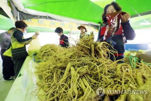 강원도 6년근 인삼 주산지 부상…재배면적·농가 수 전국 1위