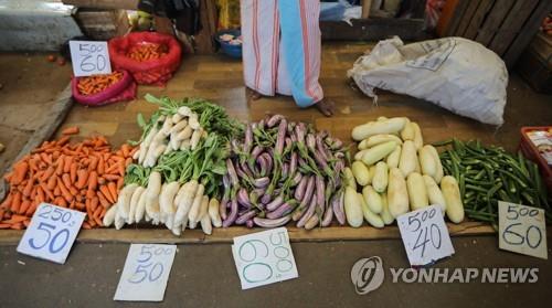 '국가 부도 위기' 스리랑카, 인도서 5억달러 긴급 수혈