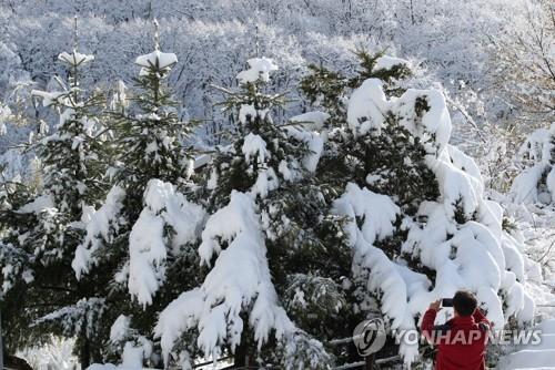 강원 철원에 대설주의보…원주 등 15곳 한파주의보 유지