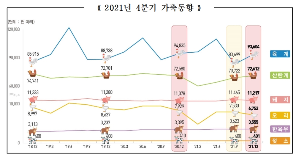 산란닭 마릿수 평년 수준 회복…실제 알 낳는 6개월 이상은 아직