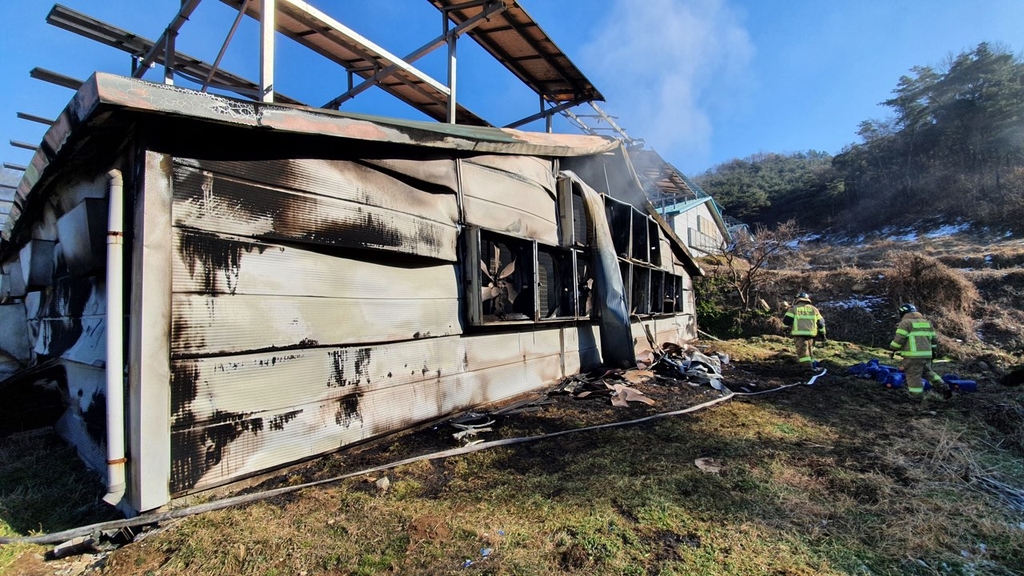 충남소방본부 "겨울철 축사 난방기 주의보"…1월에만 화재 8건