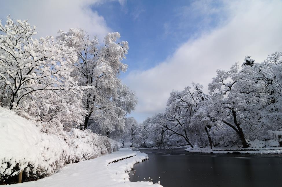 국립수목원 25일부터 겨울나무 탐방 프로그램 운영
