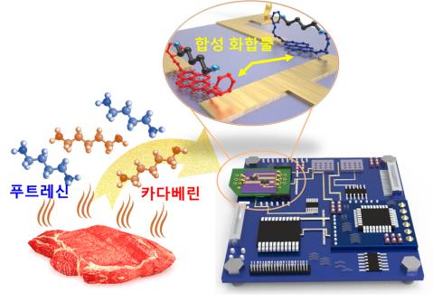 휴대용 '전자 코'가 육류 신선도 실시간 확인