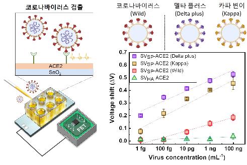 KIST "변이 상관없이 30분만에 코로나 검출"