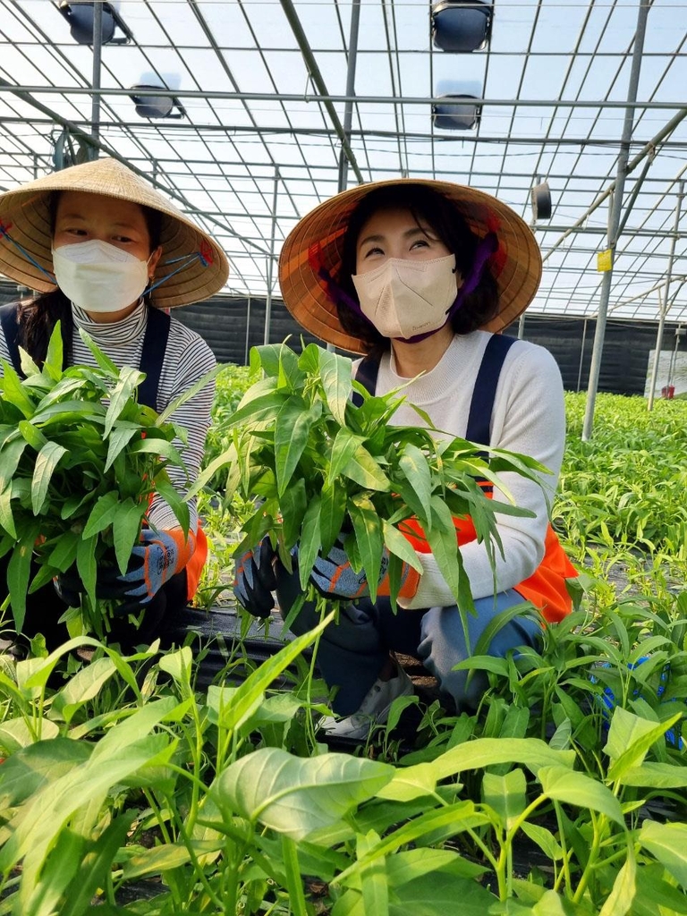 진주·사천 찾은 김혜경…진주실크 발전 간담회 열고 수확 봉사(종합)