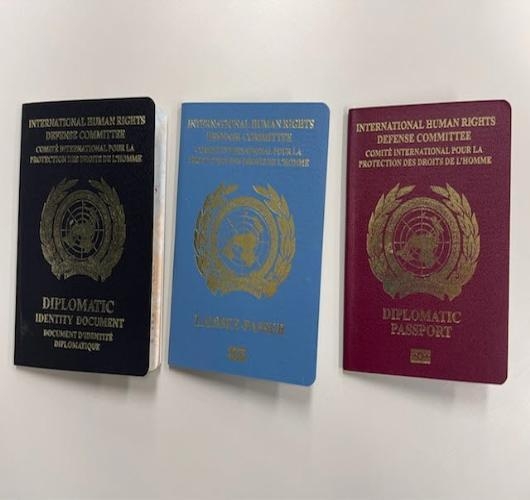 위조 UN 여권으로 비자 받아 국내 입국한 불가리아인 구속