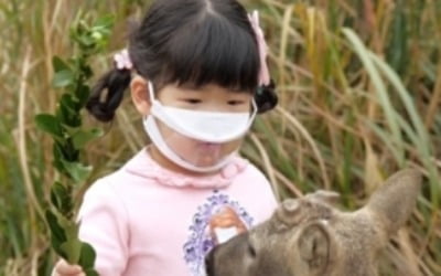 '슈돌' 양지은 가족, 훈훈한 동물 사랑 '방생 체험'