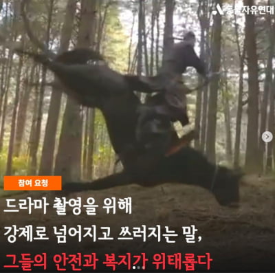 "말 묶어 쓰러뜨려"…KBS '태종 이방원', 동물 학대 의혹 제기