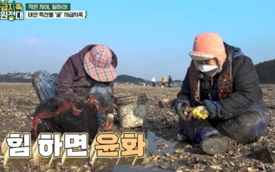 홍윤화, 맨손으로 굴캐기 "호미 필요없어" ('자급자족원정대')