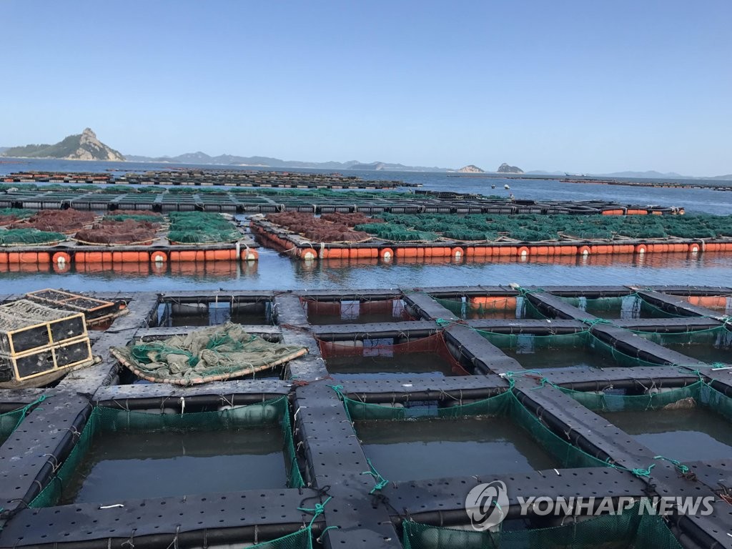 전남 해역 저수온 경보…양식장 피해 예방 온 힘