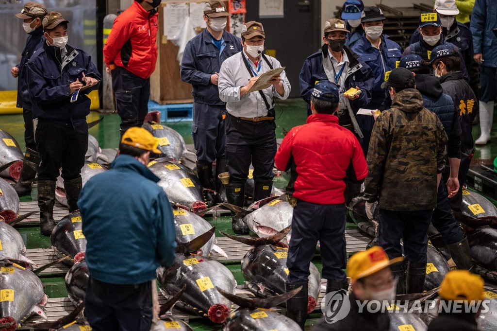 [월드&포토] 코로나 충격에 폭락한(?) 일본 새해 첫 참치