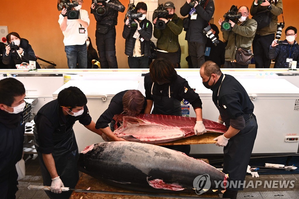 [월드&포토] 코로나 충격에 폭락한(?) 일본 새해 첫 참치