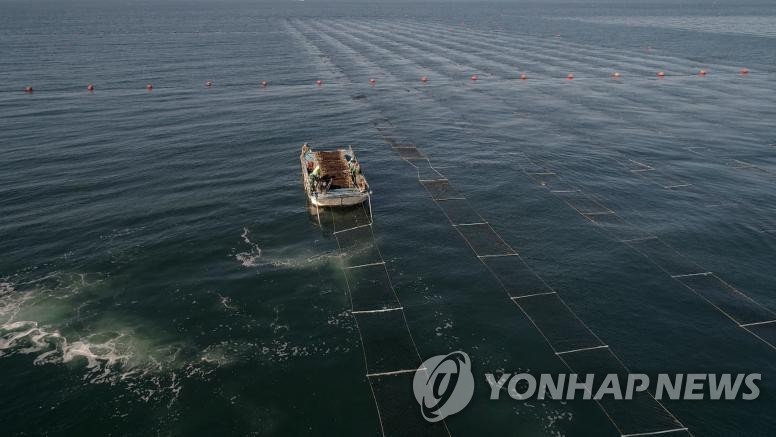 어촌뉴딜로 관광자원 활성화…화성 백미항 뉴딜사업 준공식 개최