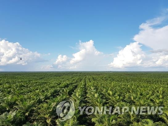 한국 NCP, '인니 팜농장 환경파괴' 포스코인터내셔널에 책임경영 권고