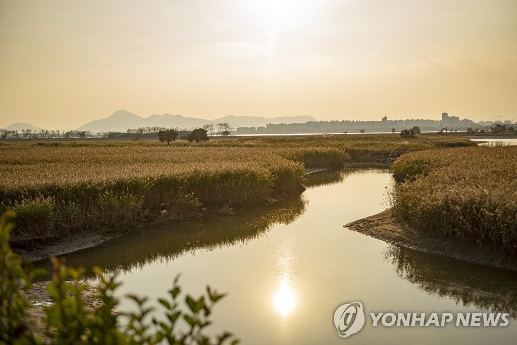 '하늘의 별따기' 공립캠핑장 예약…웃돈 받고 불법양도 눈살