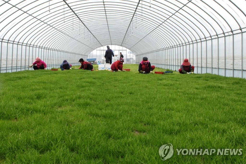 전남 농어민 공익수당 1천273억원 지급…가구당 60만원씩