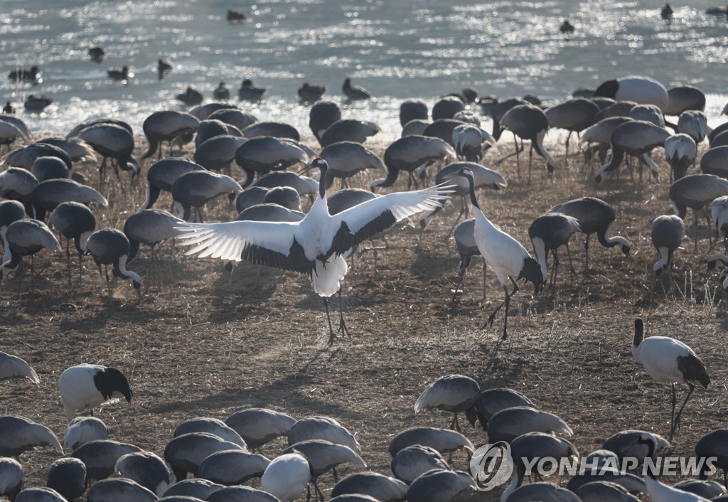 강원도 겨울스포츠 메카 명성 재확인…지난해 1억3천만명 방문