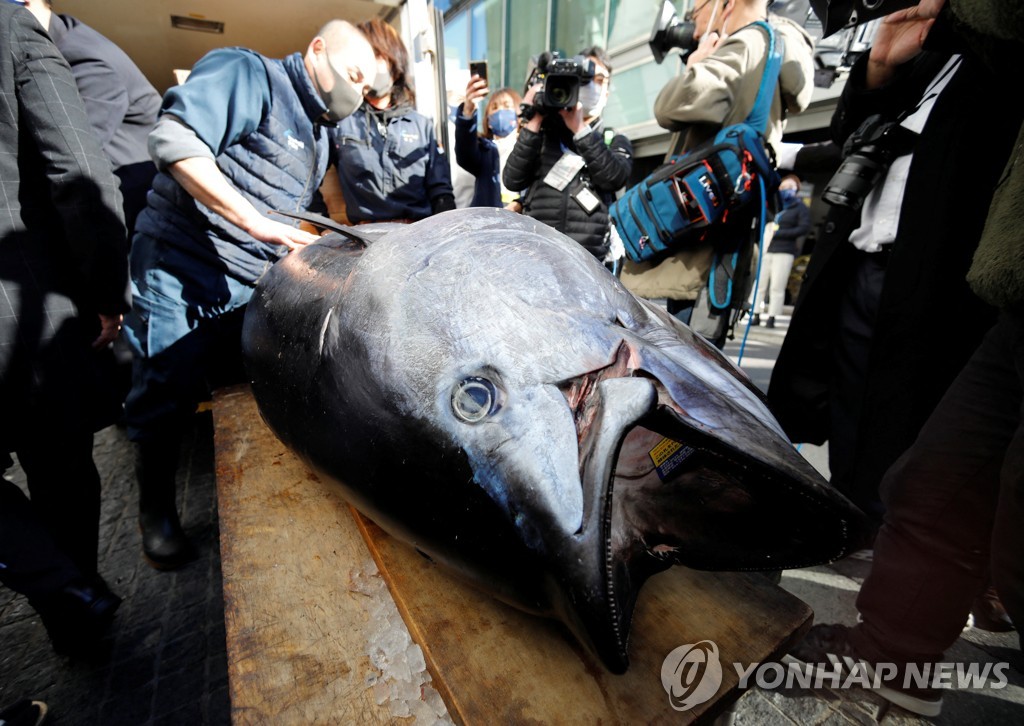 [월드&포토] 코로나 충격에 폭락한(?) 일본 새해 첫 참치