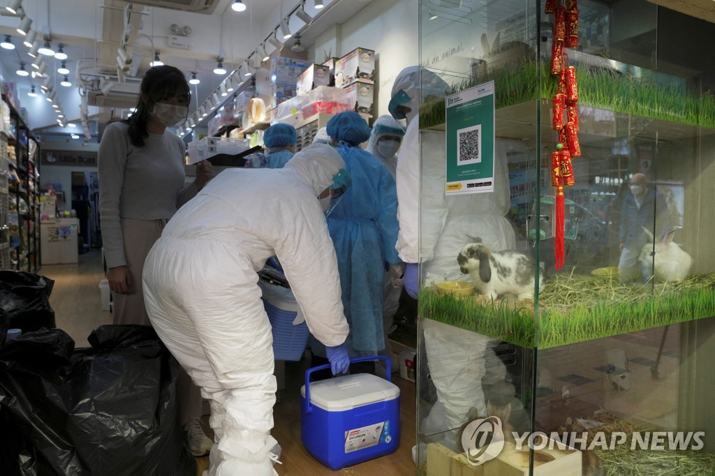 홍콩당국 "햄스터→사람 코로나 전파 가능성 점점 확신"