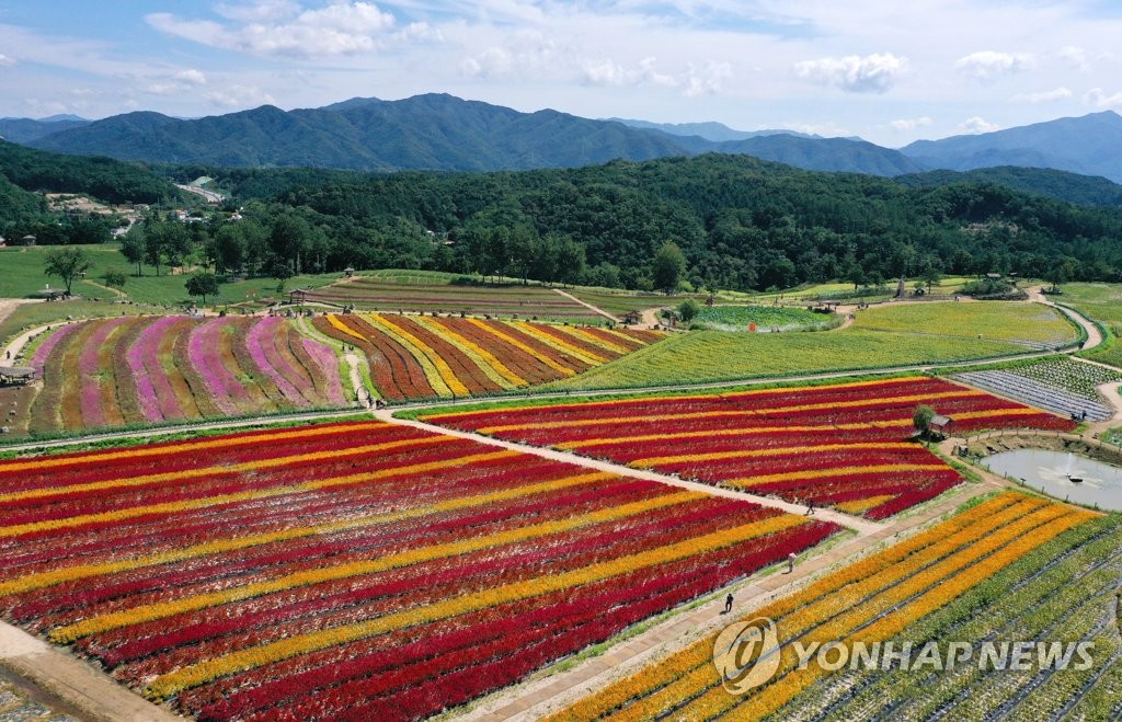 [통통 지역경제] 한탄강 줄기 따라 200만 관광객 꿈꾸는 철원군