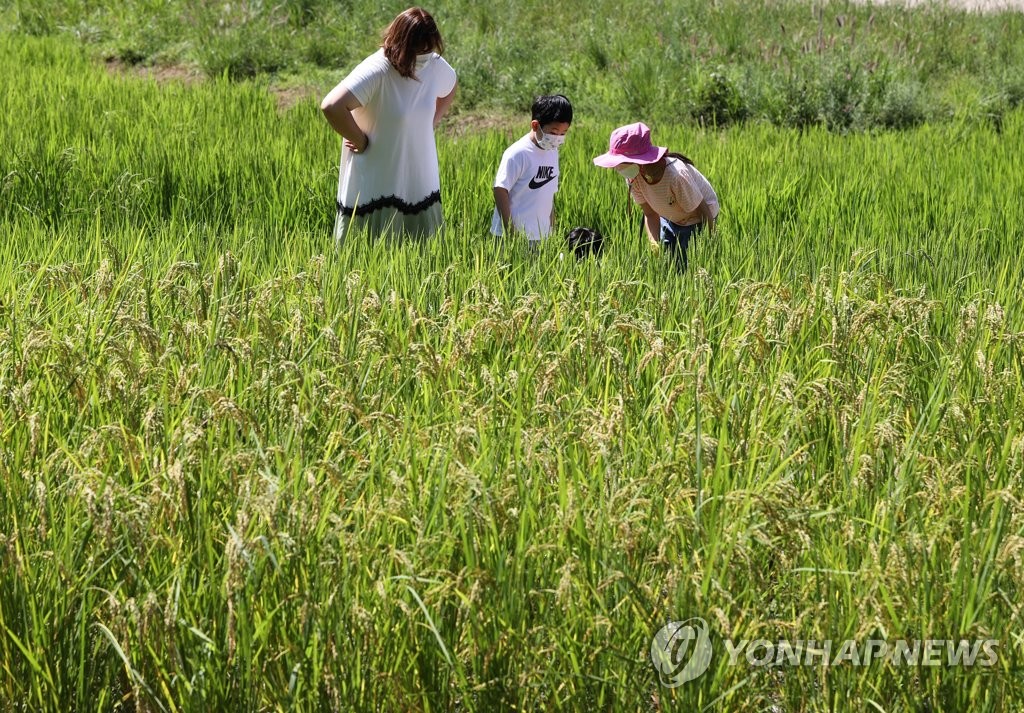 서울시, 농지 관리 개편…"농지원부 오류 수정하세요"