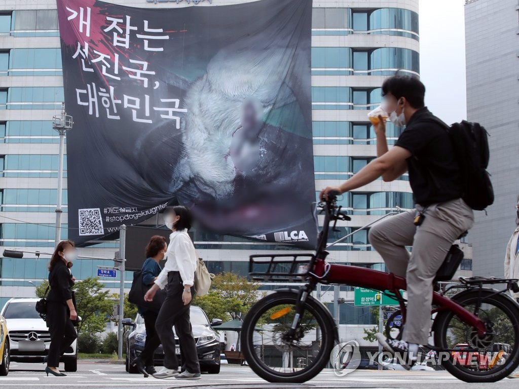 "서울시장이 개 식용 금지 문화 조성해야"…조례안 발의