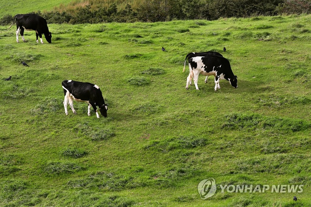 국내 초지면적, 1년 전보다 168㏊ 줄어…1995년부터 감소추세