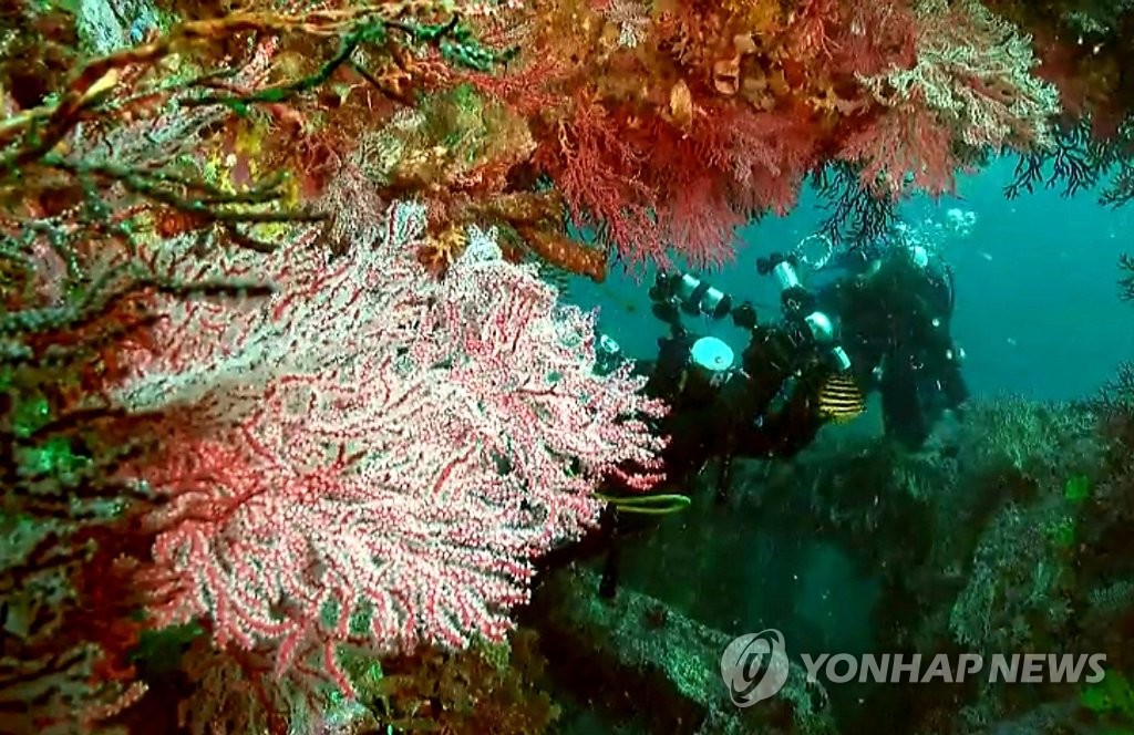 강릉시, 해양수산분야 82개 사업에 199억원 투자