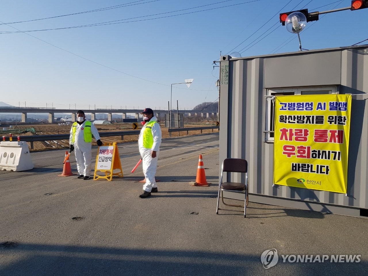 충남도, 고병원성 AI 방역대 이동 제한 전면 해제