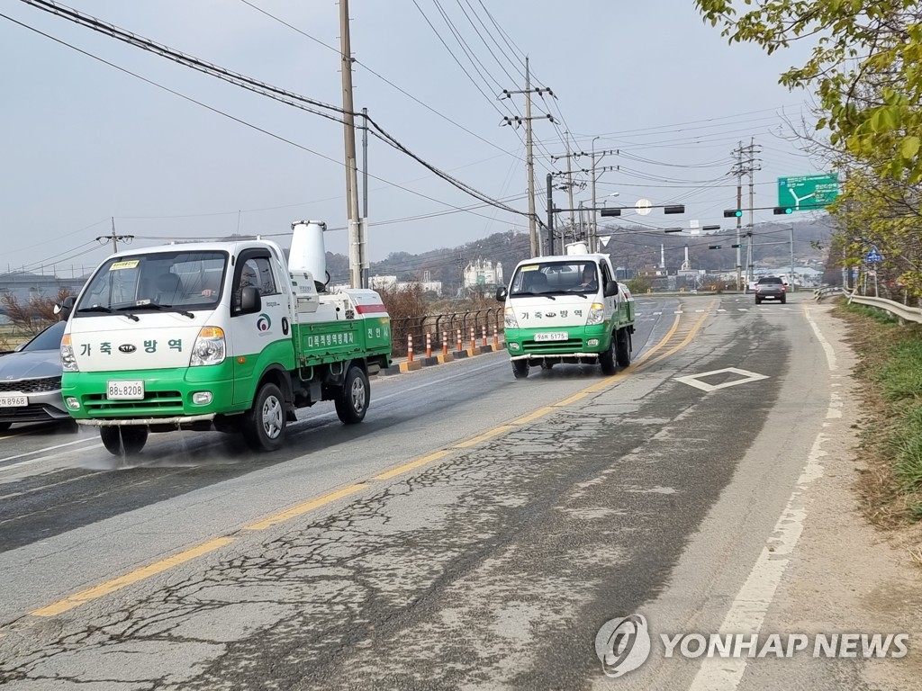 화성 산란계 2개 농장서 고병원성 AI…전국 일시이동중지 명령