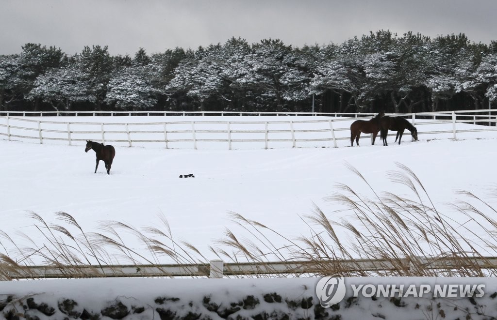 제주 산지에 비 또는 눈…낮 최고기온 13도