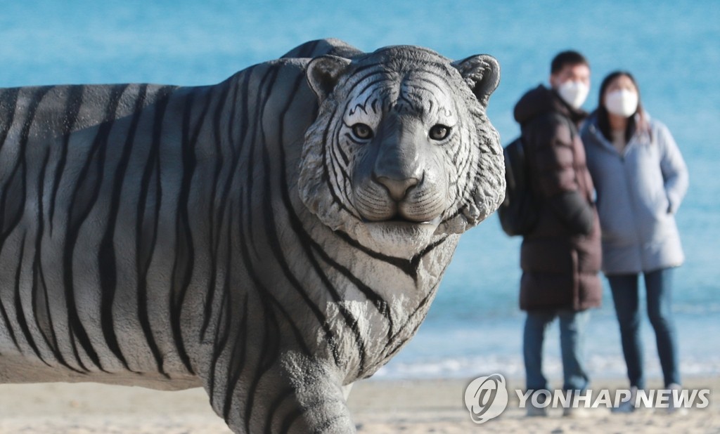 호랑이해 밝았다…새해 첫둥이 3.44kg 여아 우렁찬 울음