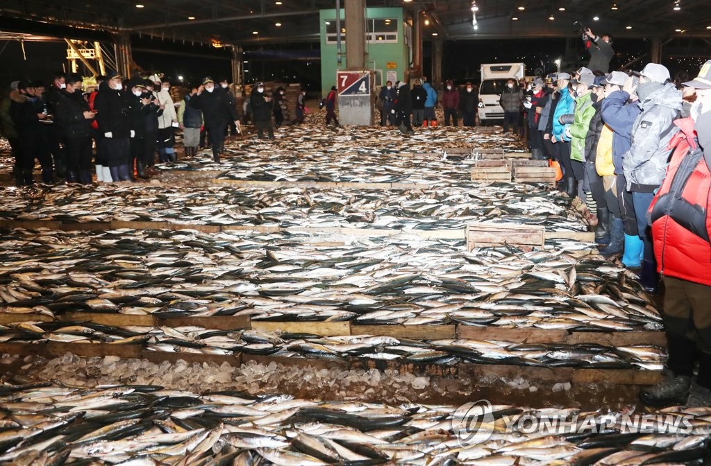 전국 대형선망 94.7%는 부산에…중대재해법 앞두고 긴장