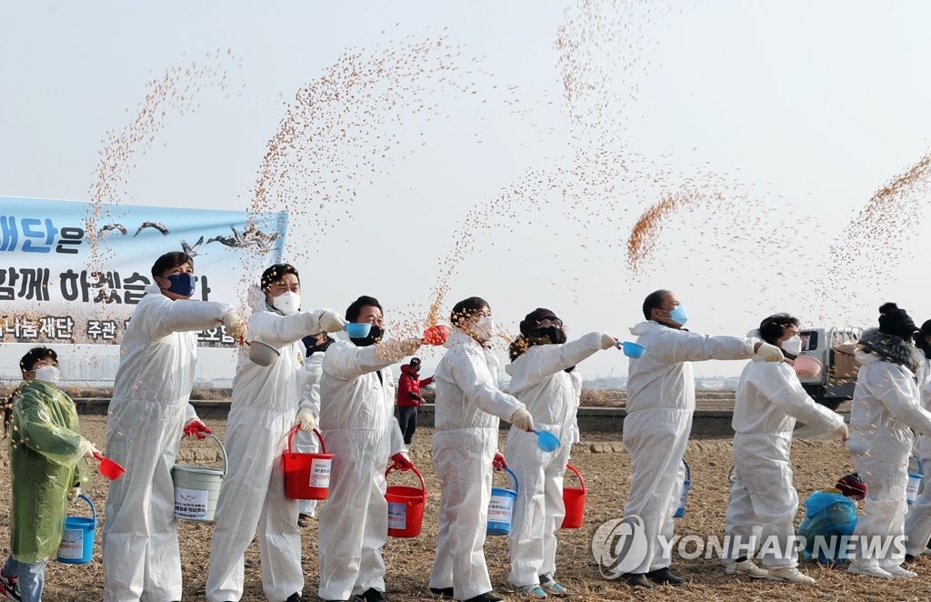 "재두루미야, 볍씨 먹고 푹 쉬렴"…주남저수지에 먹이 살포