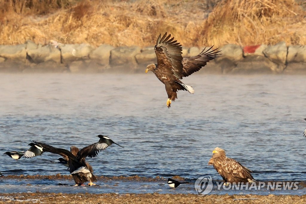 대구·경북 흐리고 낮부터 기온 올라…큰 일교차 주의