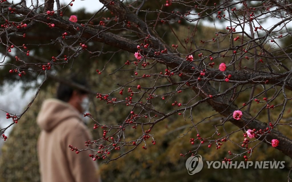 누그러진 추위에 전국 관광지 북적…스키·눈썰매장 인파 몰려