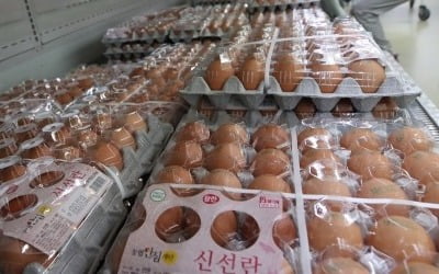 돼지고기·계란값 얼마나 올랐길래…농가소득 '역대급' 증가 [강진규의 농식품+]