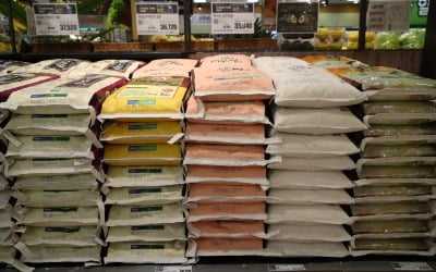 쌀 20만톤 매입해 가격 띄운다는 정부…물가 또 오르나 [강진규의 농식품+]