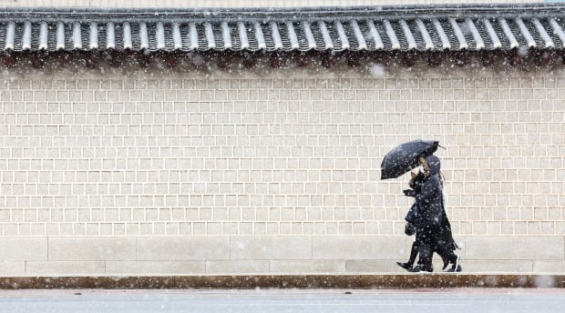 우산을 쓴 시민들이 경복궁 돌담길을 지나고 있다.(사진=연합뉴스)