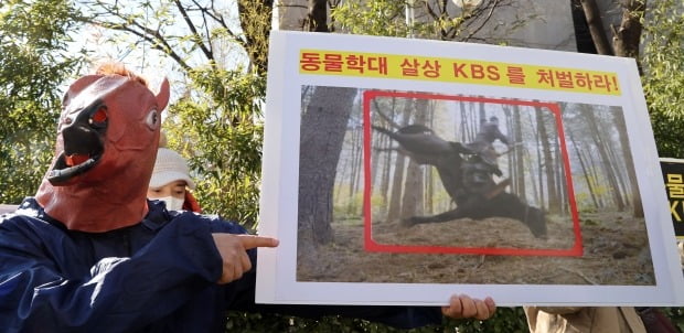 한국동물보호연합 등 동물보호단체가 여의도 KBS 본관 앞에서 '태종 이방원' 드라마 동물학대 규탄 기자회견을 하고 있다. /연합뉴스