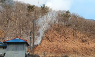 강원 인제 산불 약 2시간 만에 진화…60대 실화자 조사 중(종합)