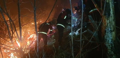 대구 와룡산 정상 부근에 불…2시간여 만에 진화(종합)